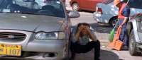 Click for details and comments about this vehicle 2096583