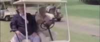 Click for details and comments about this vehicle 2098792