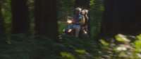 Click for details and comments about this vehicle 850337